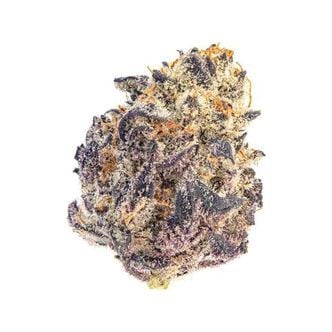Cherry Mac Muffin (Growers Choice) féminisée