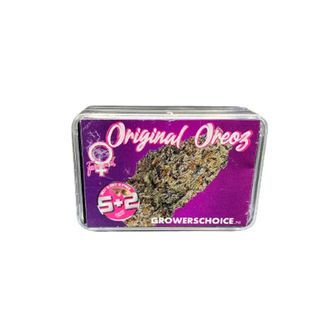 Original Oz (Growers Choice) féminisée