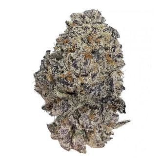 Original Oz (Growers Choice) féminisée