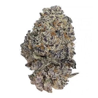 Original Oz (Growers Choice) féminisée