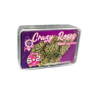 Crazy Roses Fast Version (Growers Choice) féminisée