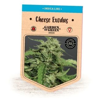 Cheese Exodus (Garden of Green) féminisée