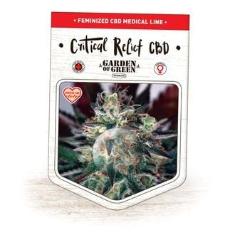 Critical Relief CBD (Garden of Green) féminisée