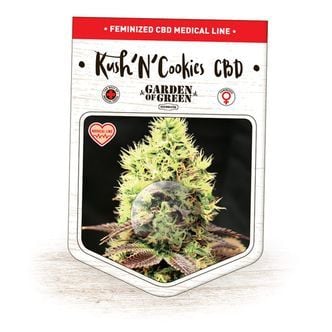 Kush'N'Cookies CBD (Garden of Green) féminisée