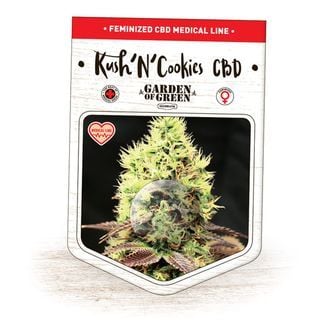 Kush'N'Cookies CBD (Garden of Green) féminisée