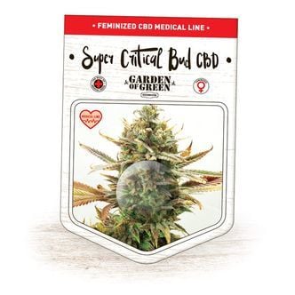 Super Critical Bud CBD (Garden of Green) féminisée
