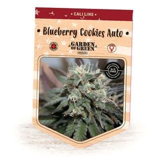 Blueberry Cookies Auto (Garden of Green) féminisée