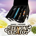 Lemon Gelato (Kannabia x Zamnesia) féminisée
