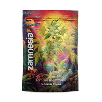 Pack Terpene Dream - Variétés féminisées