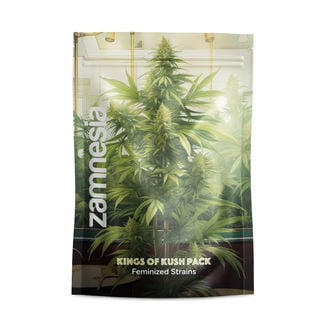 Pack Kings of Kush - Variétés féminisées