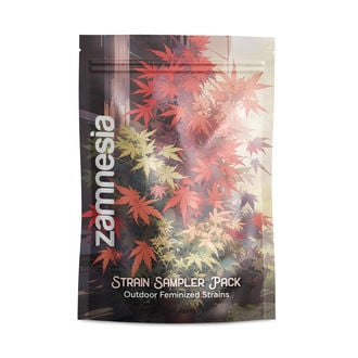 Pack Strain Sampler - Variétés féminisées pour l’extérieur