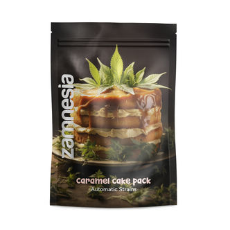 Pack Caramel Cake - Variétés à autofloraison