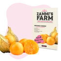 Pack Graines de fruits - Zammi's Farm