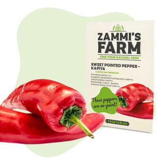 Pack Graines de légumes - Zammi's Farm