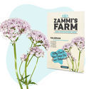 Pack Graines médicinales - Zammi's Farm