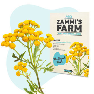 Pack Graines de Bien-être - Zammi's Farm