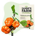 Pack Graines exotiques - Zammi's Farm