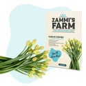 Pack Graines exotiques - Zammi's Farm