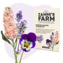 Pack Graines de fleurs - Zammi's Farm