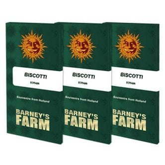 Biscotti (Barney's Farm) féminisée