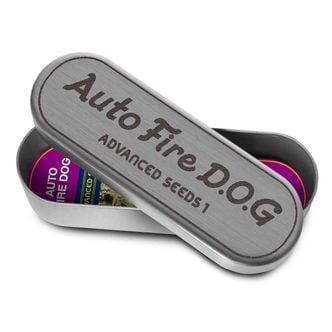 Auto Fire DOG (Advanced Seeds) féminisée
