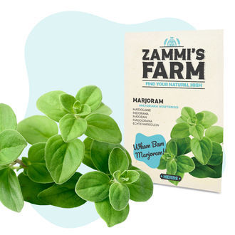 Pack Herbes spéciales BBQ - Zammi's Farm