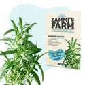 Pack Tisanes et infusions - Zammi's Farm