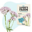 Pack Tisanes et infusions - Zammi's Farm