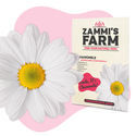 Pack Tisanes et infusions - Zammi's Farm