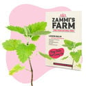 Pack Tisanes et infusions - Zammi's Farm