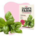 Pack Herbes aromatiques - Zammi's Farm