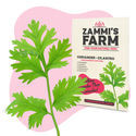 Pack Herbes aromatiques - Zammi's Farm