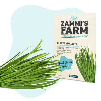 Pack Herbes aromatiques - Zammi's Farm