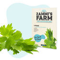 Pack Herbes aromatiques - Zammi's Farm