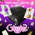 Gigglez (Expert Seeds x Zamnesia) féminisée