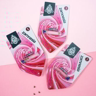 Runtz F1 Auto (Zamnesia Seeds) féminisée