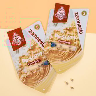 Do-Si-Dos F1 Auto (Zamnesia Seeds) féminisée