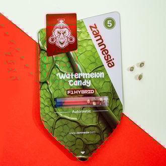 Watermelon Candy F1 Auto (Zamnesia Seeds) féminisée