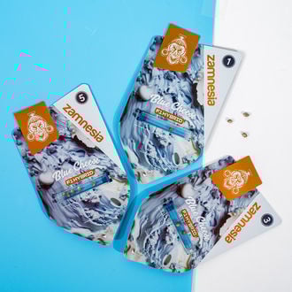 Blue Cheese F1 Auto (Zamnesia Seeds) féminisée