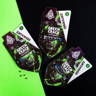 Green Crack F1 Auto (Zamnesia Seeds) féminisée