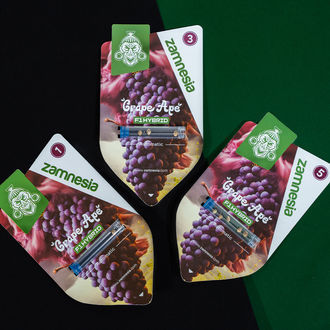 Grape Ape F1 Auto (Zamnesia Seeds) féminisée