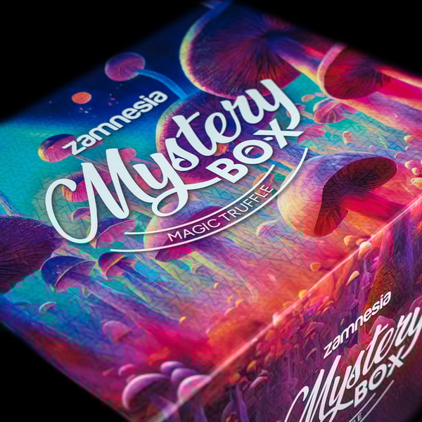 Coffret surprise Truffes Magiques (Zamnesia)