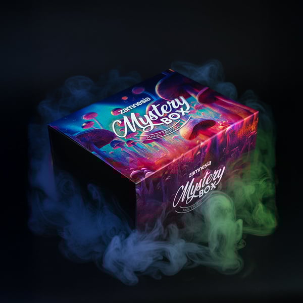 Coffret surprise Truffes Magiques (Zamnesia)