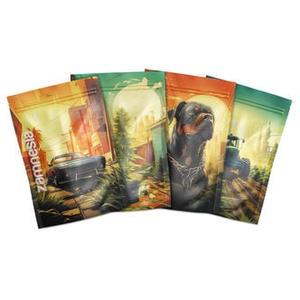 Sachets de stockage Saint Andreas Z-Lock (Large)