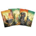 Sachets de stockage Saint Andreas Z-Lock (Large)
