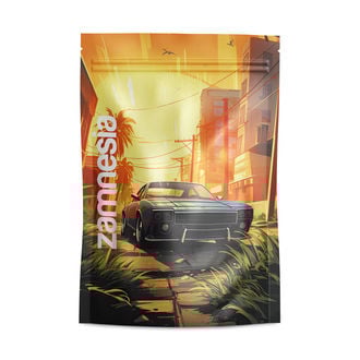 Sachets de stockage Saint Andreas Z-Lock (Large)