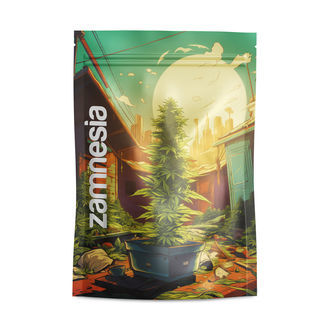 Sachets de stockage Saint Andreas Z-Lock (Large)