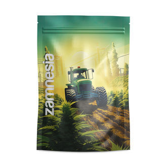 Sachets de stockage Saint Andreas Z-Lock (Large)