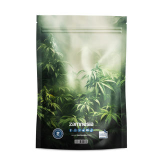 Sachets de stockage Z-Lock Monsterous Monsters (Large)