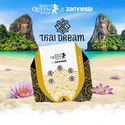 Thai Dream (Royal Queen Seeds x Zamnesia) féminisée